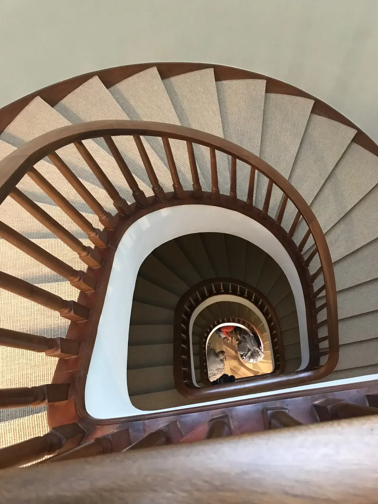 Carpeted staircase with wooden handrails from FARAFE’s project gallery